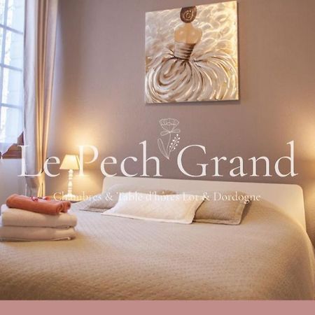 Chambres & Tables D'Hotes Le Pech Grand Saint-Sozy エクステリア 写真