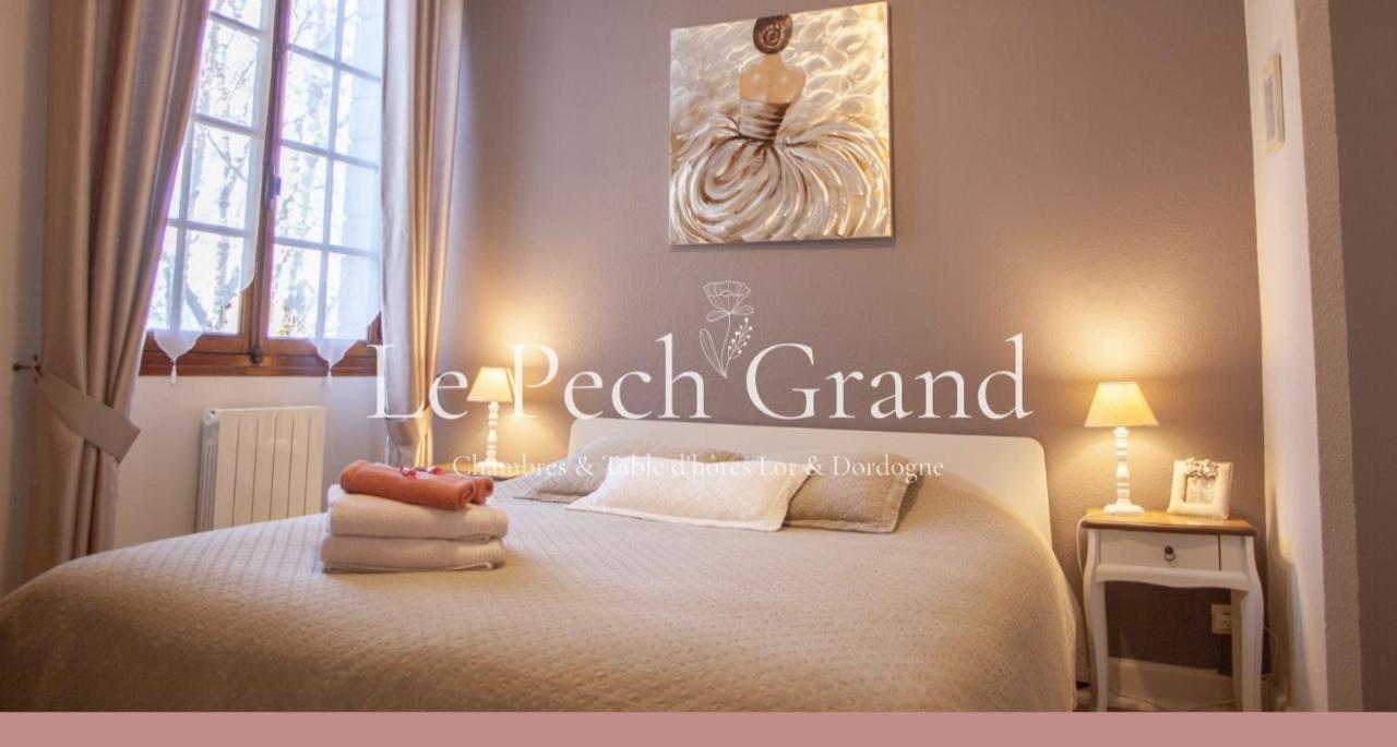 Chambres & Tables D'Hotes Le Pech Grand Saint-Sozy エクステリア 写真